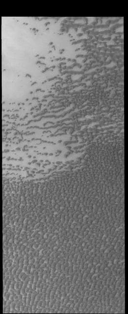 NASA image: Polar Dunes
