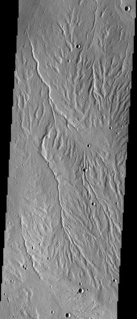 NASA image: Rubicon Valles