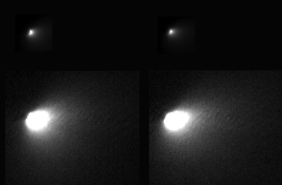 NASA image: First Resolved Image of a Long-Period Comet Nucleus