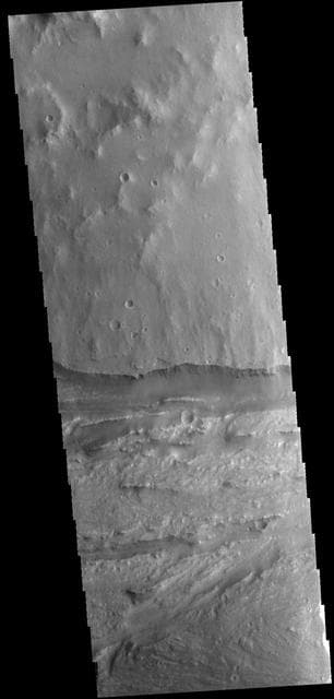 Ravi Vallis