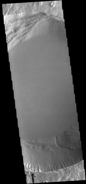 NASA image: Pavonis Mons