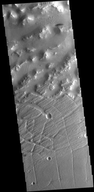 NASA image: Nilus Mensae