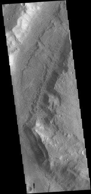 NASA image: Maadim Vallis