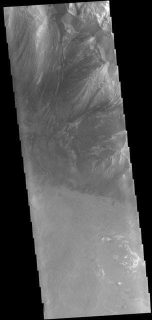 NASA image: Melas Chasma