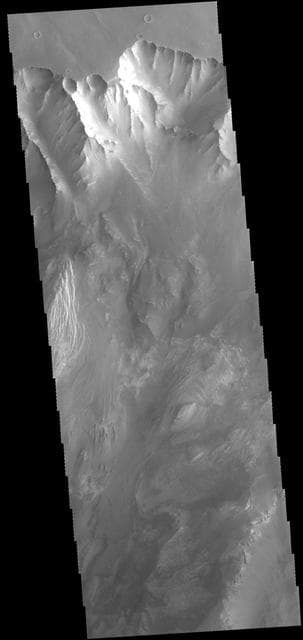 NASA image: Valles Marineris