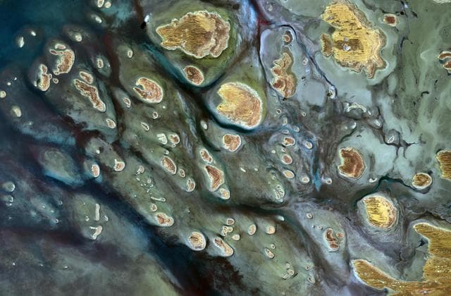 NASA image: Lake Mackay, Australia