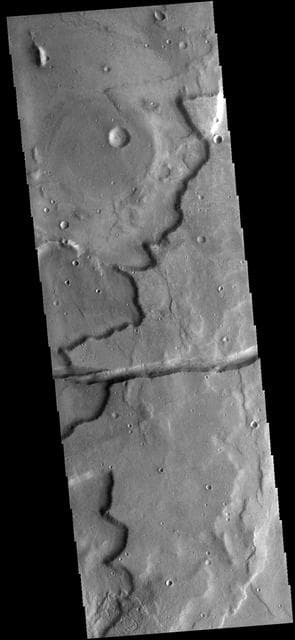 NASA image: Sirenum Fossae