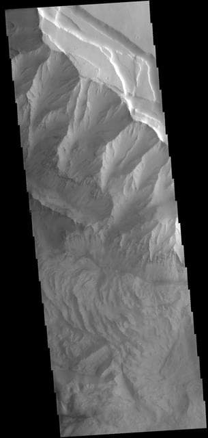 NASA image: Ophir Chasma
