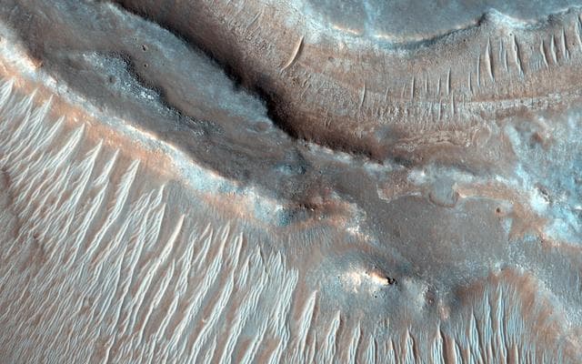 NASA image: Braided TARs in Syrtis Major