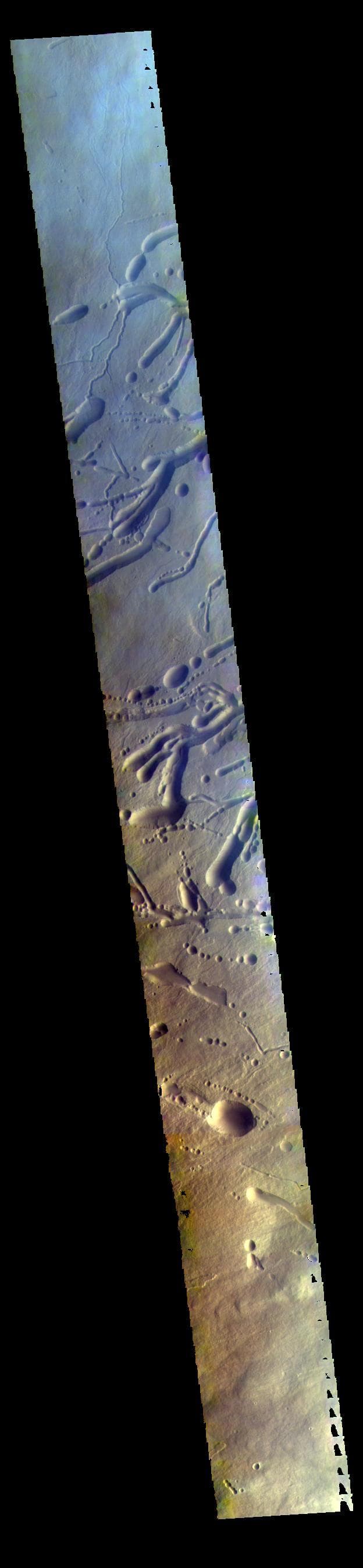 NASA image: False Color Ascraeus Mons