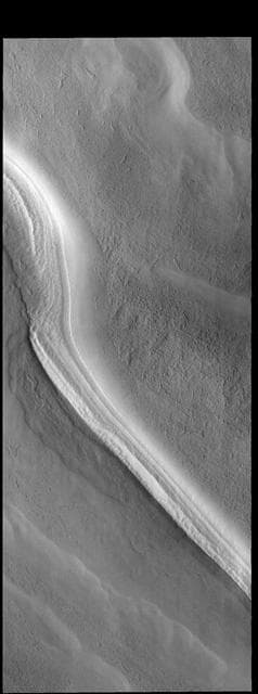 NASA image: Polar Trough