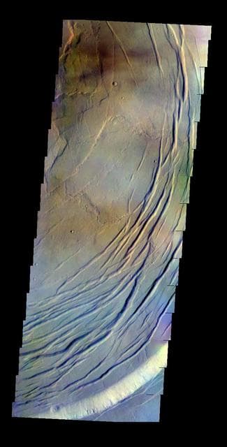 NASA image: Olympus Mons - False Color