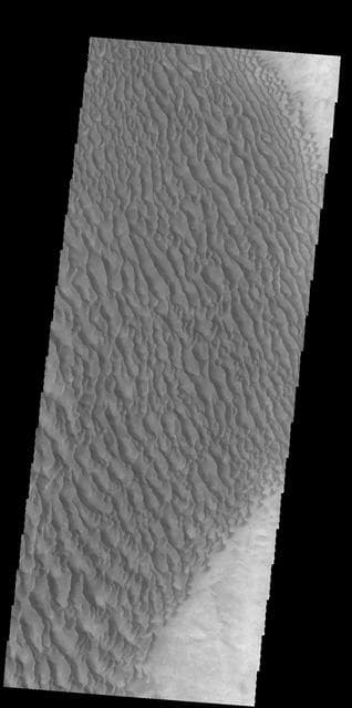 NASA image: Proctor Crater Dunes