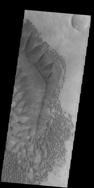 NASA image: Russel Crater Dunes - VIS