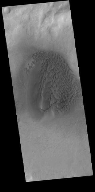 NASA image: Noachis Terra Dunes - VIS