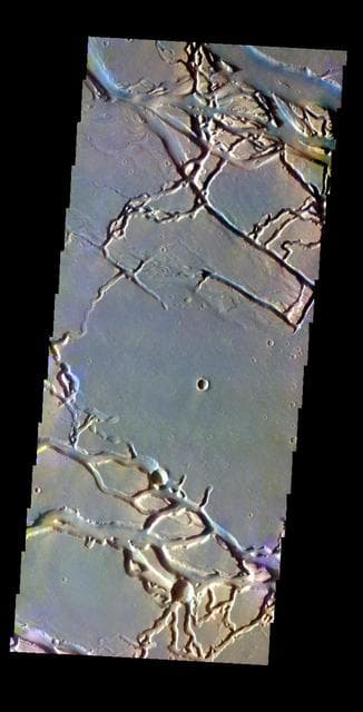 NASA image: Granicus Valles - False Color
