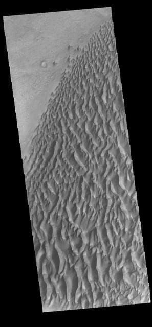 NASA image: Proctor Crater Dunes