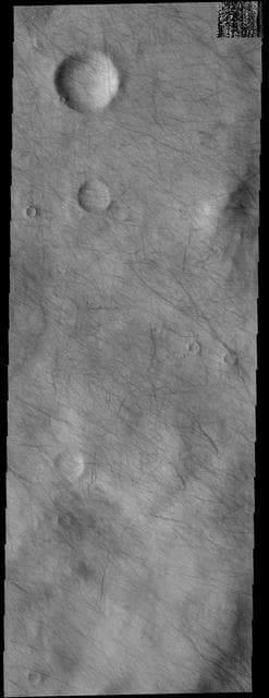 NASA image: Dust Devil Tracks
