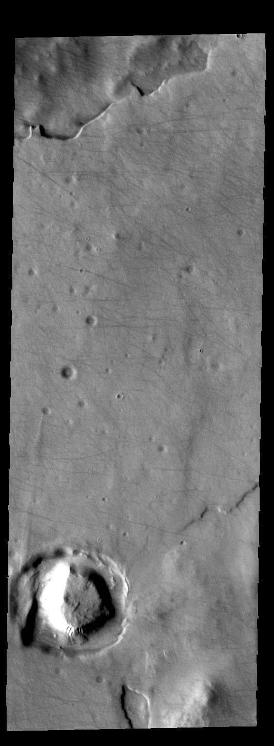 NASA image: Dust Devil Tracks