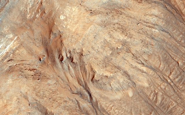 NASA image: Warm-Season Flows in Cold-Season Ravines