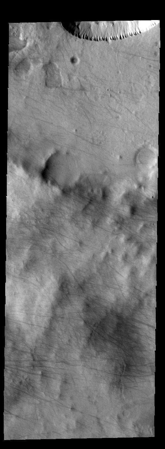 NASA image: Dust Devil Tracks