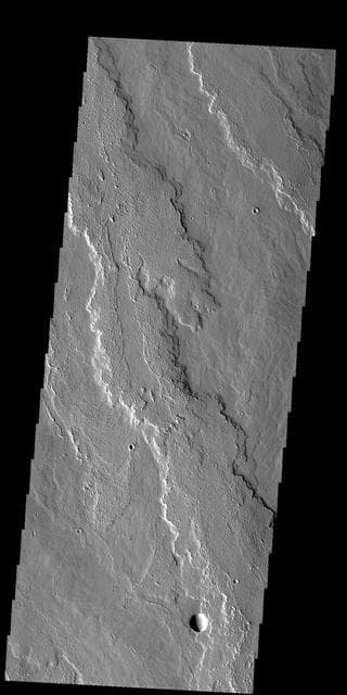 NASA image: Daedalia Planum