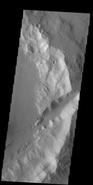 NASA image: Sirenum Fossae