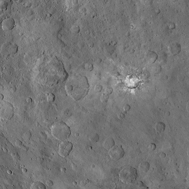 NASA image: Dawn Survey Orbit Image 45