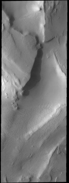 NASA image: Summer End