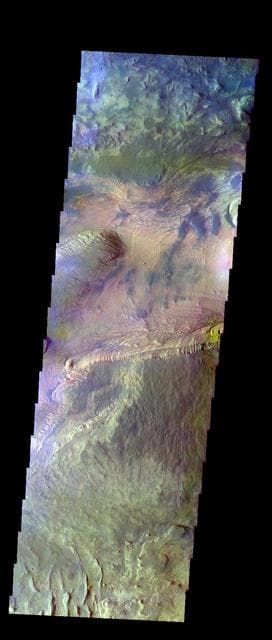 NASA image: Candor Chasma - False Color