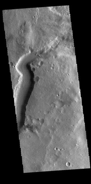 NASA image: Mamers Valles