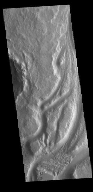 NASA image: Mangala Valles
