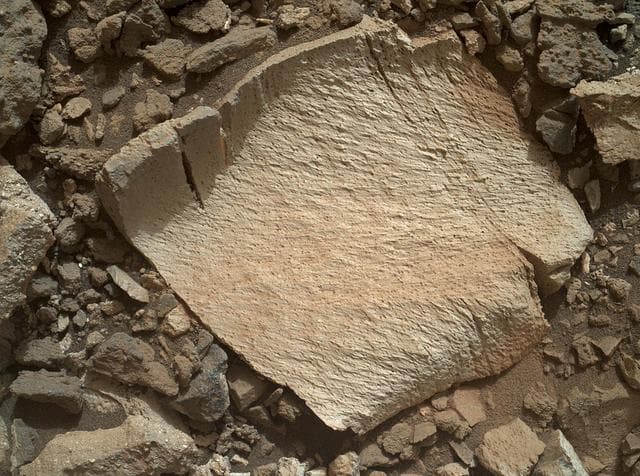 NASA image: High-Silica Lamoose Rock
