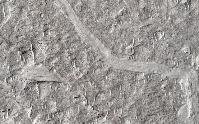 NASA image: Fine-Branched Ridges