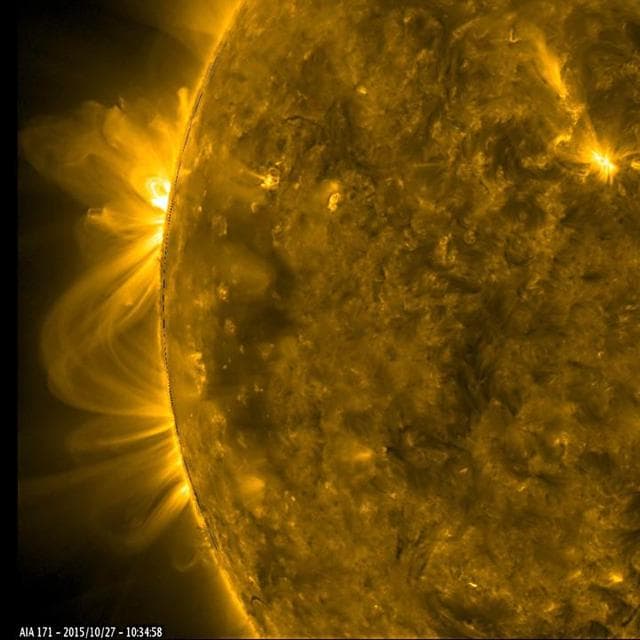 NASA image: Active Regions Blossoming