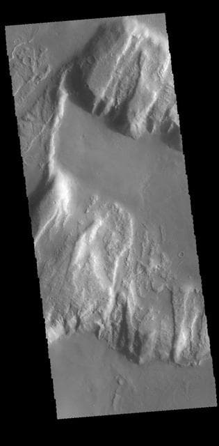 NASA image: Tanaica Montes