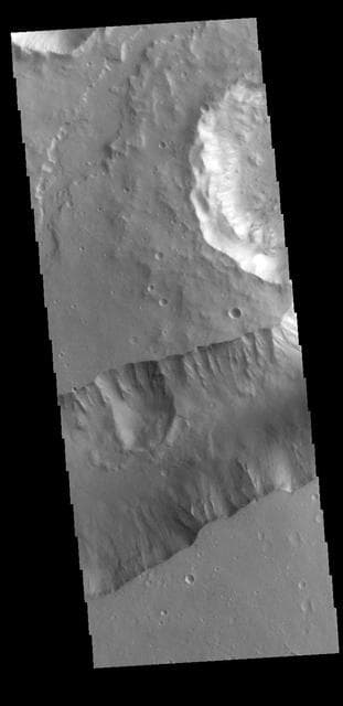 NASA image: Shalbatana Vallis
