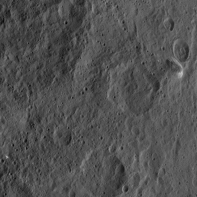 Dawn HAMO Image 67