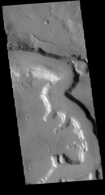 NASA image: Mamers Valles
