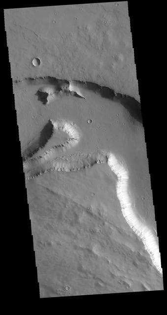 NASA image: Elysium Fossae