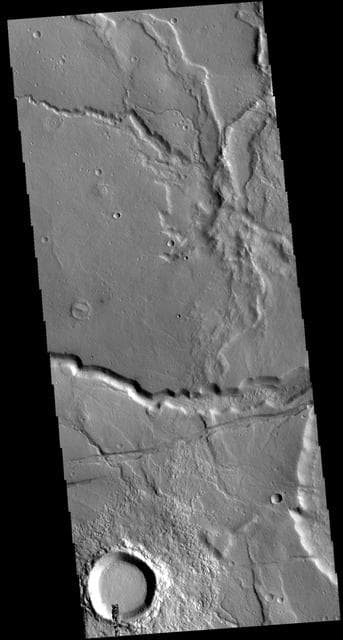 NASA image: Tempe Terra