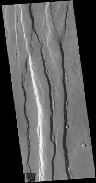 NASA image: Ceraunius Fossae