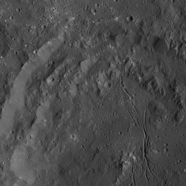 Dawn LAMO Image 38