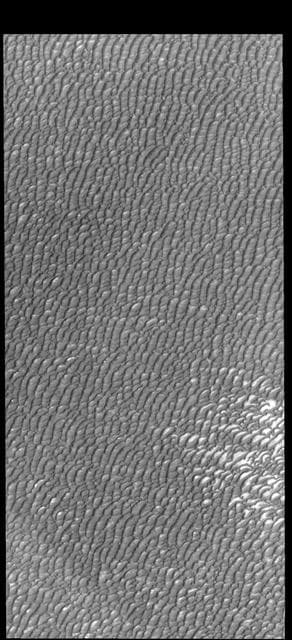 NASA image: Olympia Undae