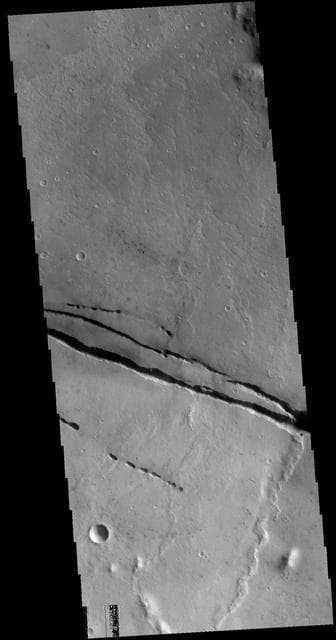 NASA image: Cerberus Fossae
