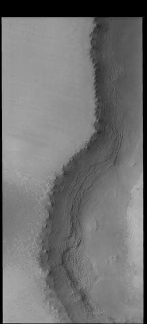 NASA image: Tenuis Rupes