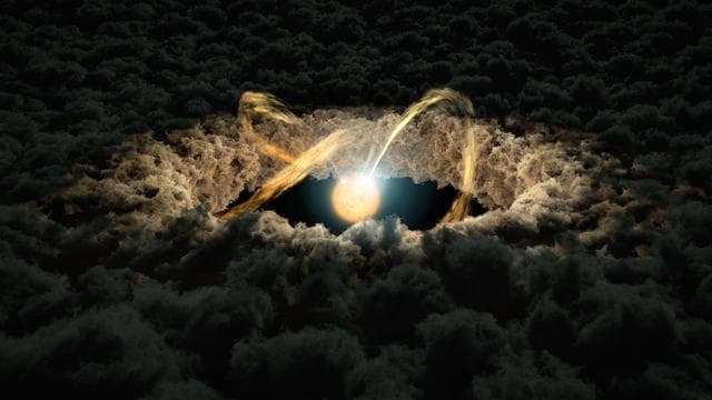 NASA image: Protoplanetary Disk Artist Concept