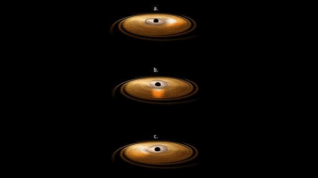 NASA image: Black Hole with Wobbling Disk Artist Concept