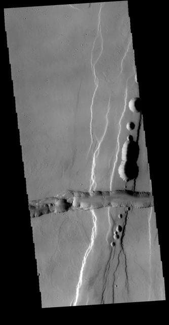 NASA image: Tractus Catena