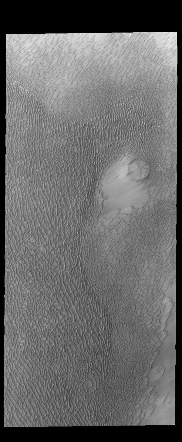 NASA image: North Polar Dunes